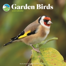 RSPB Garden Birds (PFP) Wall
