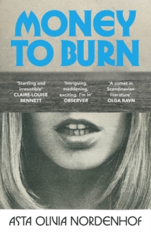 Vintage Publishing Money To Burn , The First Thrilling Novel In The Groundbreaking Scandinavian Star Series