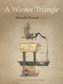 A Winter Triangle