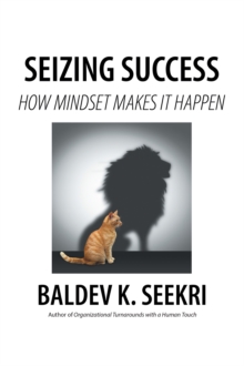 Seizing Success : How Mindset Makes It Happen