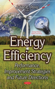 Energy Efficiency : Performance, Improvement Strategies and Future Directions