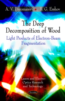 The Deep Decomposition of Wood : Light Products of Electron-Beam Fragmentation