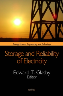 Storage and Reliability of Electricity