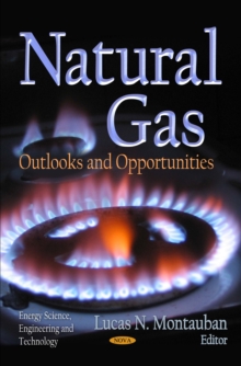 Natural Gas : Outlooks and Opportunities