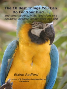 10 Best Things You Can Do For Your Bird