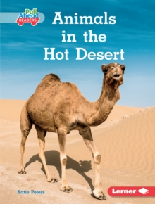 Animals in the Hot Desert