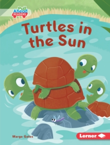 Turtles in the Sun