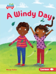 A Windy Day