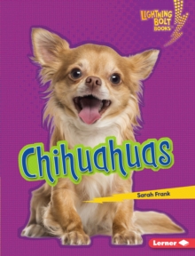 Chihuahuas