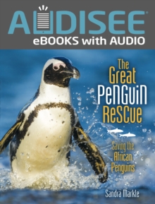 The Great Penguin Rescue : Saving the African Penguins