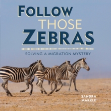 Follow Those Zebras : Solving a Migration Mystery