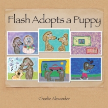 Flash Adopts a Puppy