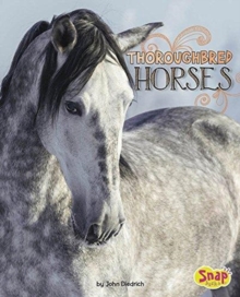 Clydesdale Horses, Paperback / softback Book Clydesdale Horses, Paperback / softback Book