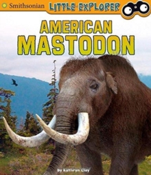American Mastodon, Paperback / softback Book American Mastodon, Paperback / softback Book