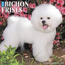 Just Bichon Frises 2019 Wall Calendar (Dog Breed Calendar), Calendar Book Just Bichon Frises 2019 Wall Calendar (Dog Breed Calendar), Calendar Book