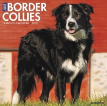 Just Border Collies 2019 Wall Calendar (Dog Breed Calendar), Calendar Book Just Border Collies 2019 Wall Calendar (Dog Breed Calendar), Calendar Book