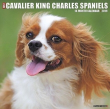 Just Cavalier King Charles Spaniels 2019 Wall Calendar (Dog Breed Calendar), Calendar Book Just Cavalier King Charles Spaniels 2019 Wall Calendar (Dog Breed Calendar), Calendar Book