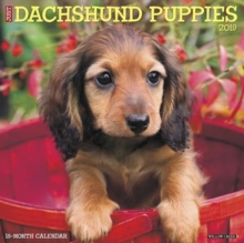 Just Dachshund Puppies 2019 Wall Calendar (Dog Breed Calendar), Calendar Book Just Dachshund Puppies 2019 Wall Calendar (Dog Breed Calendar), Calendar Book