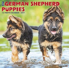 Just German Shepherd Puppies 2019 Wall Calendar (Dog Breed Calendar), Calendar Book Just German Shepherd Puppies 2019 Wall Calendar (Dog Breed Calendar), Calendar Book