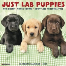 Just Lab Puppies 2019 Wall Calendar (Dog Breed Calendar), Calendar Book Just Lab Puppies 2019 Wall Calendar (Dog Breed Calendar), Calendar Book
