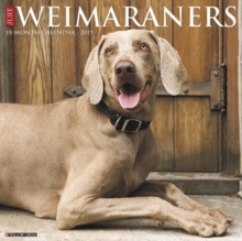 Just Weimaraners 2019 Wall Calendar (Dog Breed Calendar), Calendar Book Just Weimaraners 2019 Wall Calendar (Dog Breed Calendar), Calendar Book