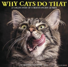 Why Cats Do That 2019 Wall Calendar, Calendar Book Why Cats Do That 2019 Wall Calendar, Calendar Book