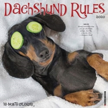 Dachshund Rules 2020 Wall Calendar (Dog Breed Calendar), Calendar Book Dachshund Rules 2020 Wall Calendar (Dog Breed Calendar), Calendar Book
