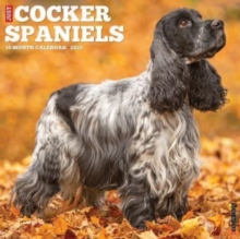 Just Cocker Spaniels 2025 12 X 12 Wall Calendar