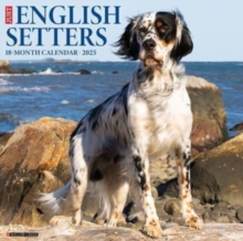 Just English Setters 2025 12 X 12 Wall Calendar