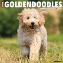 Just Goldendoodles 2025 12 X 12 Wall Calendar