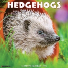 Hedgehogs 2025 12 X 12 Wall Calendar