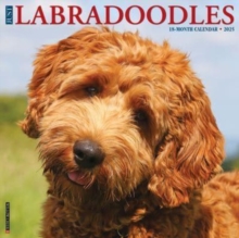 Just Labradoodles 2025 12 X 12 Wall Calendar