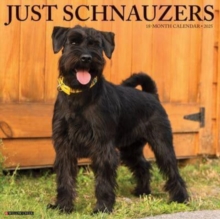 Just Schnauzers 2025 12 X 12 Wall Calendar