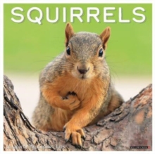 Squirrels 2025 12 X 12 Wall Calendar