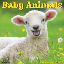 Baby Animals 2027 Wall Willow Creek Press Paperback