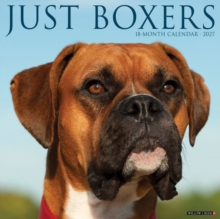 Boxers 2027 Wall Willow Creek Press Paperback