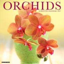 Orchids 2027 Wall Willow Creek Press Paperback