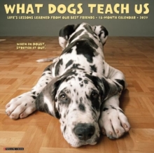 What Dogs Teach Us 2027 Wall Willow Creek Press