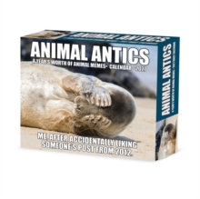 Animal Antics 2027 Box Willow Creek Press Paperback