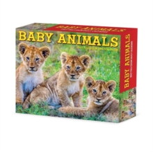 Baby Animals 2027 Box Willow Creek Press Paperback