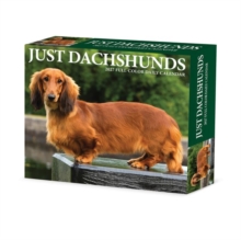 Dachshunds 2027 Box Willow Creek Press