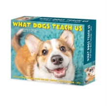 What Dogs Teach Us 2027 Box Willow Creek Press Paperback