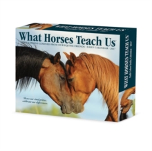 What Horses Teach Us 2027 Box Willow Creek Press Paperback