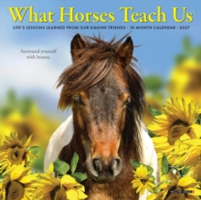 What Horses Teach Us 2027 Mini Willow Creek Press Paperback