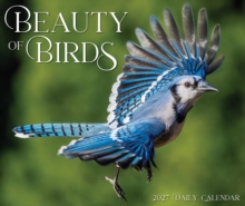 Beauty Of Birds 2027 Box Willow Creek Press