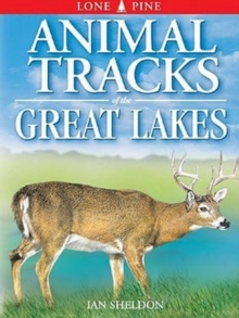 Animal Tracks Of The Great Lakes