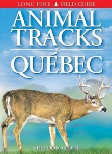 Animal Tracks of Quebec, Paperback / softback Book Animal Tracks of Quebec, Paperback / softback Book