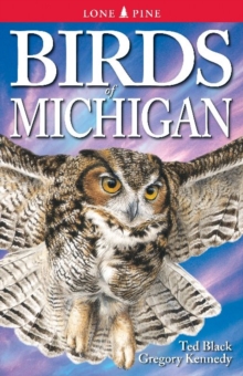 Birds of Michigan, Paperback / softback Book Birds of Michigan, Paperback / softback Book