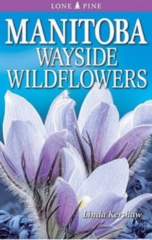 Manitoba Wayside Wildflowers, Paperback / softback Book Manitoba Wayside Wildflowers, Paperback / softback Book