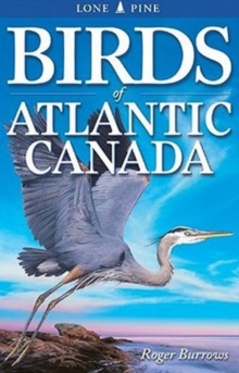 Birds of Atlantic Canada, Paperback Book Birds of Atlantic Canada, Paperback Book